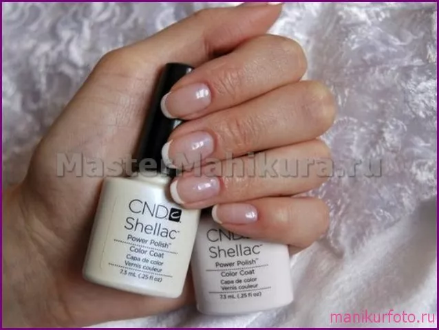 Discover the Amazing Benefits of Shellac in Your Daily Diet