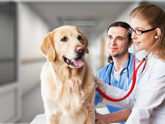 Azathioprine in Veterinary Medicine: Applications and Considerations