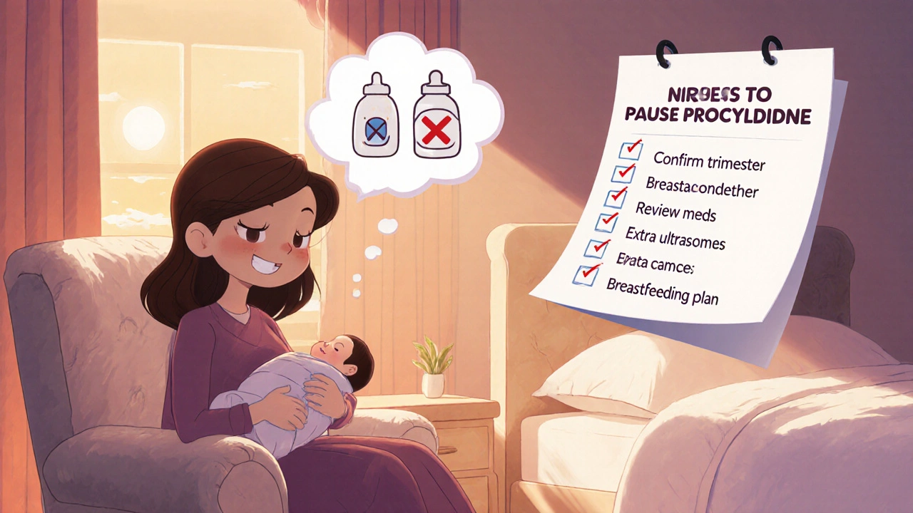 New mother holding baby with thought bubble showing breastfeeding choices and checklist.