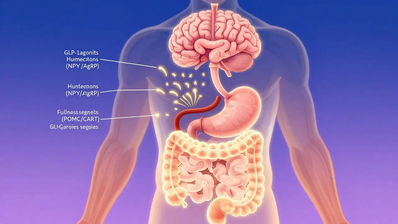 GLP-1 Receptor Agonists: How They Help Lose Weight and Lower A1C